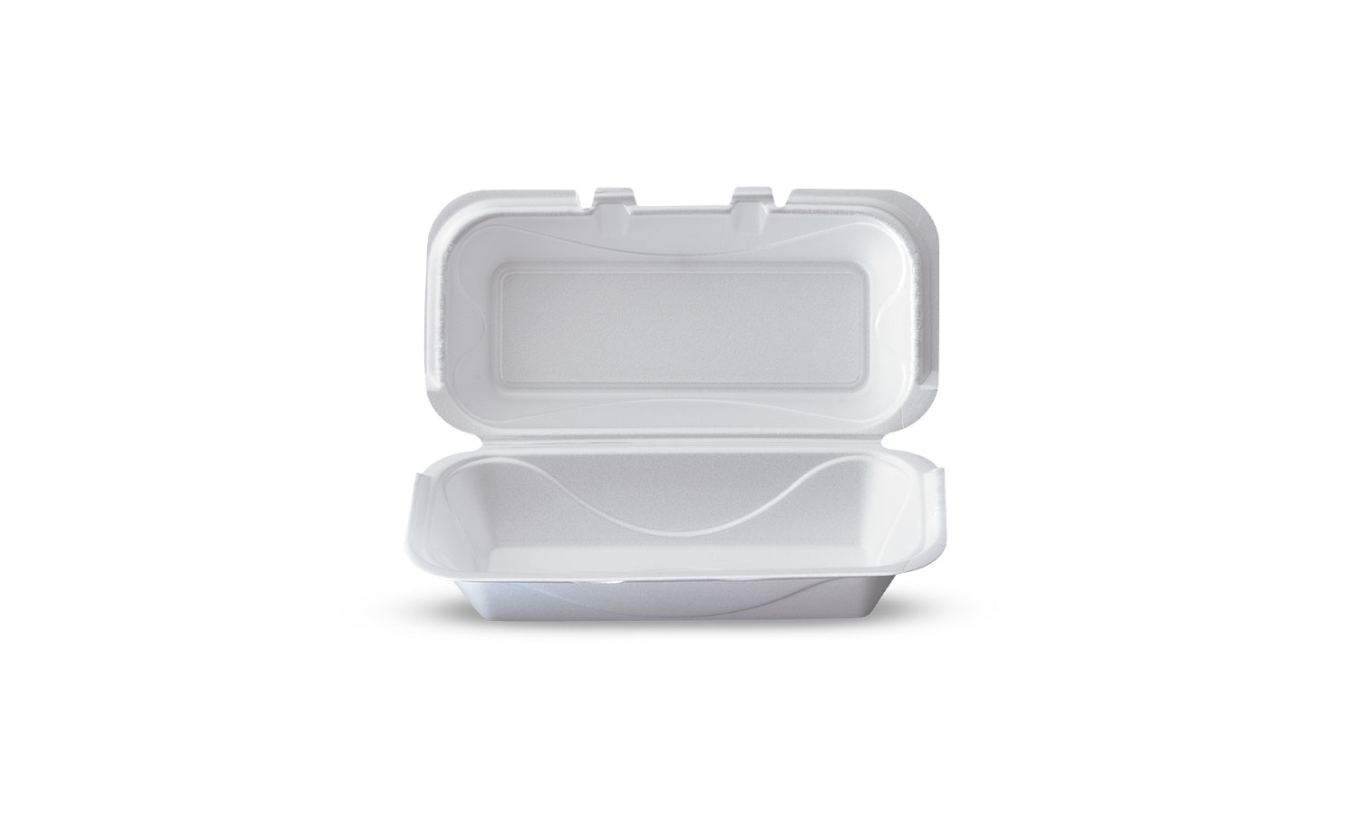 Foam Hinged Lid Take Out Container Darnel
