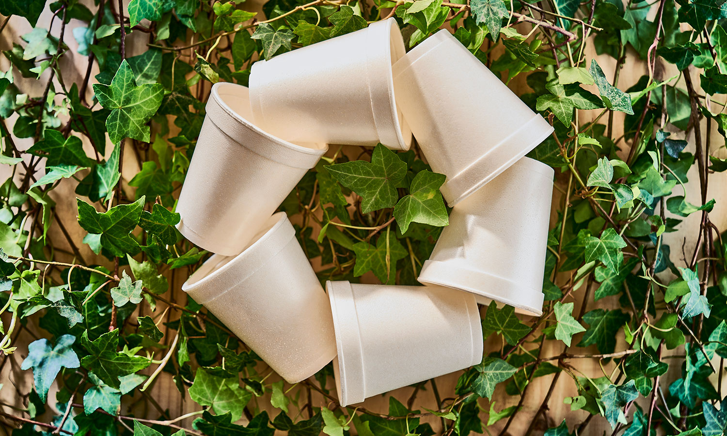 darnel-bio-reg-biodegradable-thermal-cups