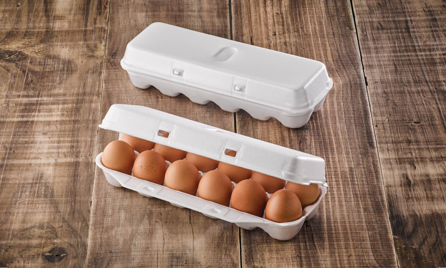 foam-egg-cartons