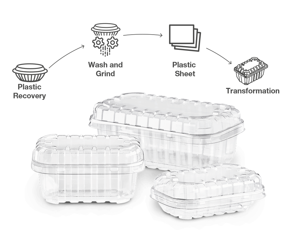 Sustainability Bottle Section 1