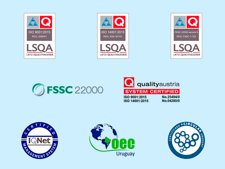 Nosotros Entry List About Us 1