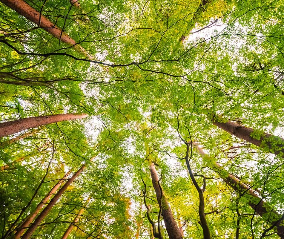 Sustainability Entry Slider Sustainability 1