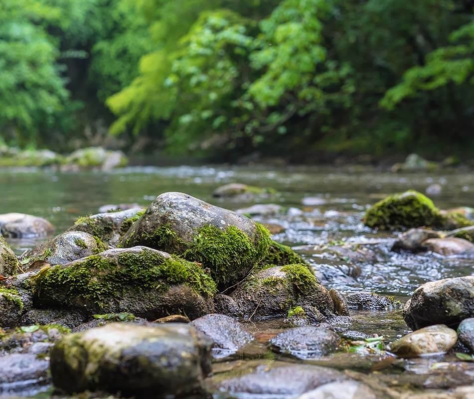 Sustainability Entry Slider Sustainability 5