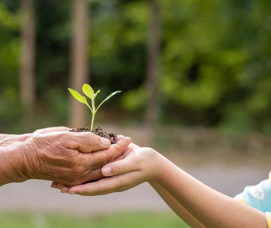 Sustainability Entry Slider Sustainability 9