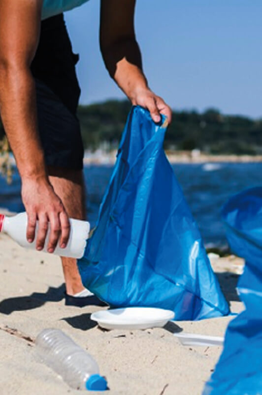 Sustainability Entry with Images Sustainability 3